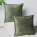 Pack of 2, Sage Green Velvet Throw Pillow Covers 20x20 Inch Decorative Pillowcase Chenille Boho Farmhouse Cushion Covers Soft Texture Couch Cushion Case for Couch Sofa Bedroom Living Room