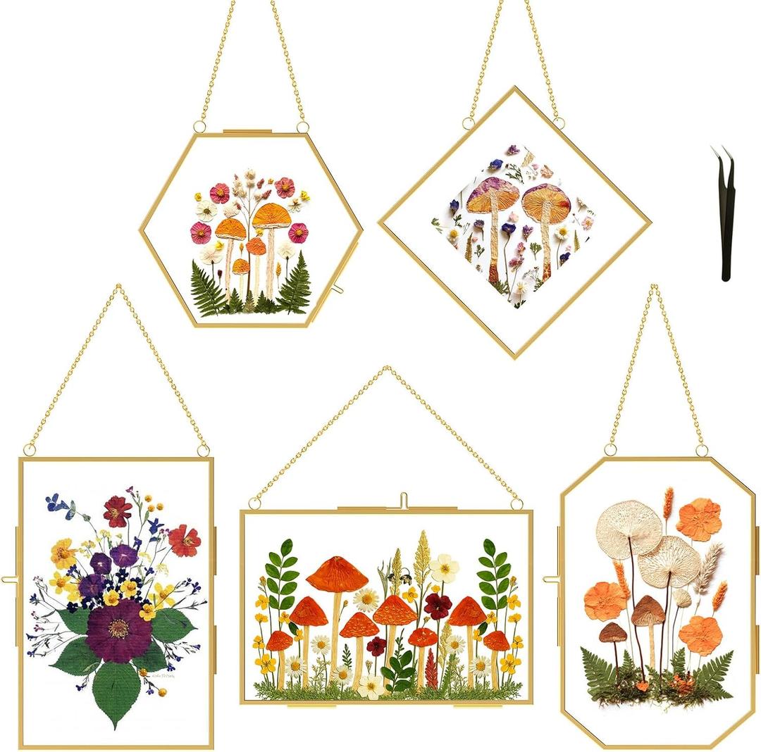 BABUFINE Pressed Flower Frames with Tweezers, Wall Hanging Double Glass Picture Frames with Chain for Dried Flowers Plants Wall Decor,Only Frame (Gold-5PCS)