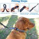 Mayerzon Martingale Collar for Dogs, No Pull Dog Collar with Reflective Strip for  Dogs, Anti Pulling Dog Collar with Buckle for Walking Training, Safe for Night Walk (Black, S)