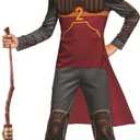 Disguise Harry Potter Nimbus 2000 Quidditch Broomstick Life Size Costume Accessory, One Size