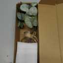 Fake Eucalyptus Stems in Vase with Faux Water,Artificial Plants Eucalyptus Leaves for Shelf Desk Bathroom Farmhouse Room Coffee Table Faux Greenery Plants Decorations (Green) (Green-white Bottle)