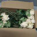 50PCS Artificial Champagne Roses Bulk Realistic Fake Flowers with Long Stem
50 Realistic Silk Champagne Roses with Flexible Long Stems for Wedding Bouquets, Centerpieces, Valentine's Day and DIY Decor