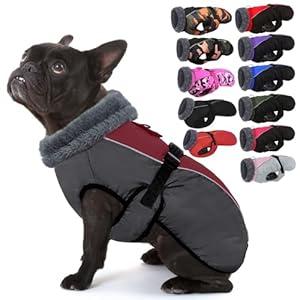 IECOii Extra Warm Dog Coat for Medium Dogs, Waterproof & Windproof Dog Jackets with Leash Hole, Adjustable Turtleneck Dog Winter Coat Reflective Pet Fleece Vest for Cold Weather, Burgundy, M