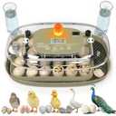 Incubators for Hatching Eggs,24 Eggs Capacity with Automatic Turning, Accurate Temp & Humidity Control, Egg Candler, Air Vent, 360 Viewing for Chicken, Duck, Quail & Goose Eggs