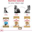 Royal Canin Yorkshire Terrier Adult Dry Dog Food, 2.5 lb bag (EXP 11/19/26)