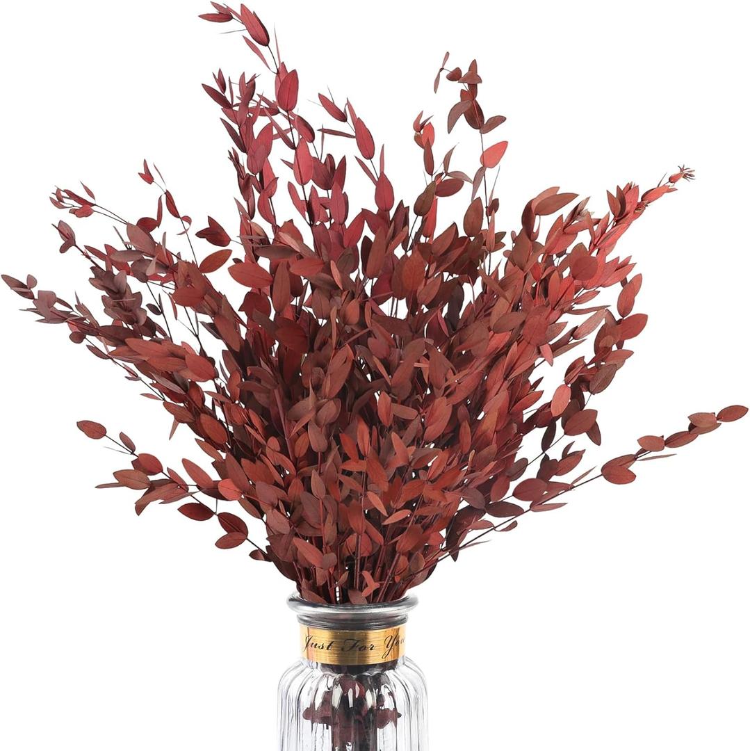Real Red Eucalyptus Stems Decor 20PCS 17" Dried Willow Eucalyptus Plant Preserved Stems for Home Vase Filler Wedding Flowers Fall Arrangement Decorations
