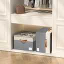 Aokeyee Shoe Organizer for Closet,2 Pack Foldable Shoe Storage Organizer Box Bin with Adjustable Dividers and Clear Cover, Fits up to 16-32 Pairs (Beige with Grey)