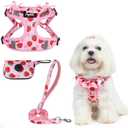 PUPTECK Dog Harness and Leash Set Small Sized, Step in No Pull Adjustable Puppy Cat Harness Reflective Pet Vest, S
