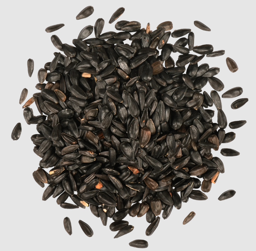 Black Oil Sunflower Seeds, 20 pounds