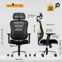 HOLLUDLE Ergonomic Mesh Office Chair - 3D Adjustable Lumbar Support & 3D Armrests, V-Shaped Back, Adjustable Desk Chair for Office & Home, Black and Gold, Medium