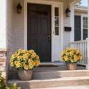 2 Pack Artificial Geranium Flowers Topitary Trees for Outdoors, UV Resistant Geraniums Potted Bushes Look Real Silk Faux Plants for Front Door Garden Porch Planter Farmhouse Home Decor (Yellow)