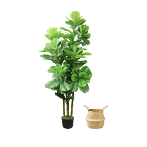 ROOMTEC Artificial Fiddle Leaf Fig Tree,6 FT Tall Artificial Tree with Woven Seagrass Plant Basket Fake Floor Plant in Pot for Home Decor Living Room Indoor Outdoor Office Bedroom Decor
