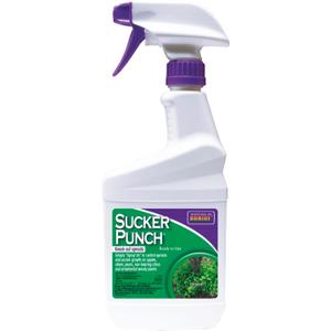 Bonide Sucker Punch, 16 oz Ready-to-Use Spray, Control Unwanted Plant Sprouts, Plant Growth Regulator for Home Garden