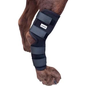 Labra Dog Rear Leg Hock Joint Compression Wrap - Supportive Brace for Weak Back Legs, ACL Tear, and Joint Discomfort - Adjustable Hind Leg Support for Senior Dogs - Medium (EXP 01/01/30)