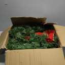 JOIEDOMI 3 Pack 19" Christmas Wreaths with Bow Pre-Lit Artificial with 20 Warm Lights Cordless for Home Front Door Wall Xmas Indoor Outdoor Christmas Decorations Window Door Wreath, Battery Operated