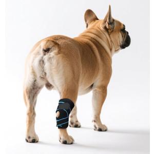 Dog Leg Braces for Rear Leg & Ankle Support - Adjustable Double Strap Brace for Senior Dogs | ACL, Ligament Injury Recovery & Hock Protection (Medium)