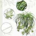 Hotop 6 Pcs Artificial Spider Plant 24 Inch Large Fake Hanging Greenery Plants Silk Faux Chlorophytum Comosum Artificial Flowers for Indoor Outdoor Wall Home Garden Backyard Office Wedding Decor