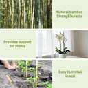 0.32-0.4"/ 4 Feet Garden Stakes, Natural Bamboo Sticks Plant Stakes for Indoor and Outdoor PlantsPoles for Tomatoes, Beans, Potted Plants(50Pcs)