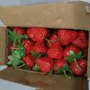 CLESDF 40Pcs Fake Plastic Strawberries, Artificial Lifelike Fruit Red Strawberries with Green Stem and Leaf for Home Kitchen Party Decor Photography Prop