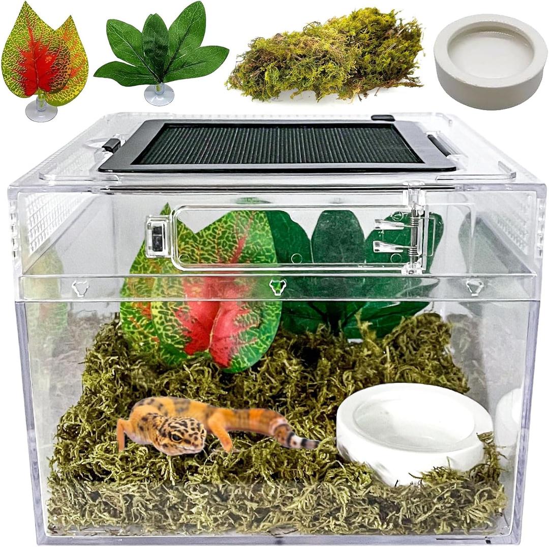 Reptile Terrarium, Jumping Spider Enclosure Starter Kit, Leopard Gecko Habitat Container, 8"x8"x7"Reptile Tank for Tarantula, Hermit Crab, Insect, Fish, Frog, Small Bearded Dragon, Lizard