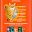IAMS Proactive Health Adult Healthy Dry Cat Food with Chicken, 3.5 lb. Bag (3.5 Pound (Pack of 1))