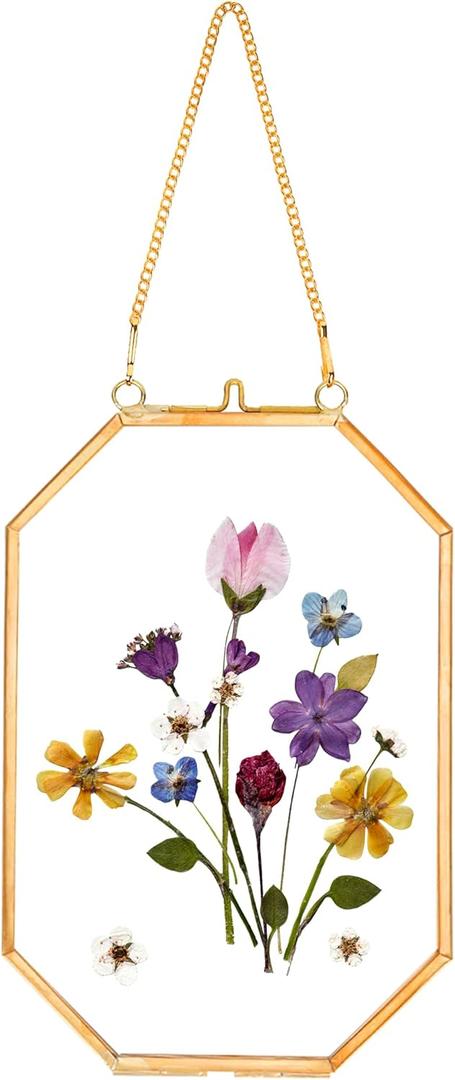 Pressed Flower Frames, Glass Floating Frames for Display Dried Plant Specimen Picture, Hanging Brass Photo Frame with Chain, Double Clear Glass, Vintage Wall Decor, Octagon, Gold, 4x6 Inches