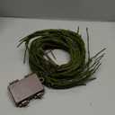 Small Green Artificial Tree Branches Grapevine Garland Ivy Willow Vines Plants Fake Cherry Blossom Tree Trunk Twigs for Wall Hanging Forest Room Home Wedding New Year Decoration