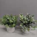 Briful Mini Fake Plants Set of 2 Small Faux Plant Eucalyptus Rosemary Greenery Potted Plants Artificial Decor for Home Table Office Room Desk Bathroom Shelf Kitchen Farmhouse Mantel Decoration