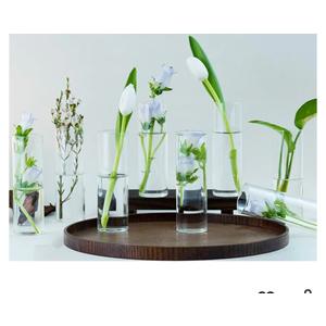 Propagation Stations Tubes Set of 8, Bud Propagation Vases for Plants, Hydroponic Terrarium Decor, Glass Planters for Indoor Plants, Glass Vase for Home Table Decorations