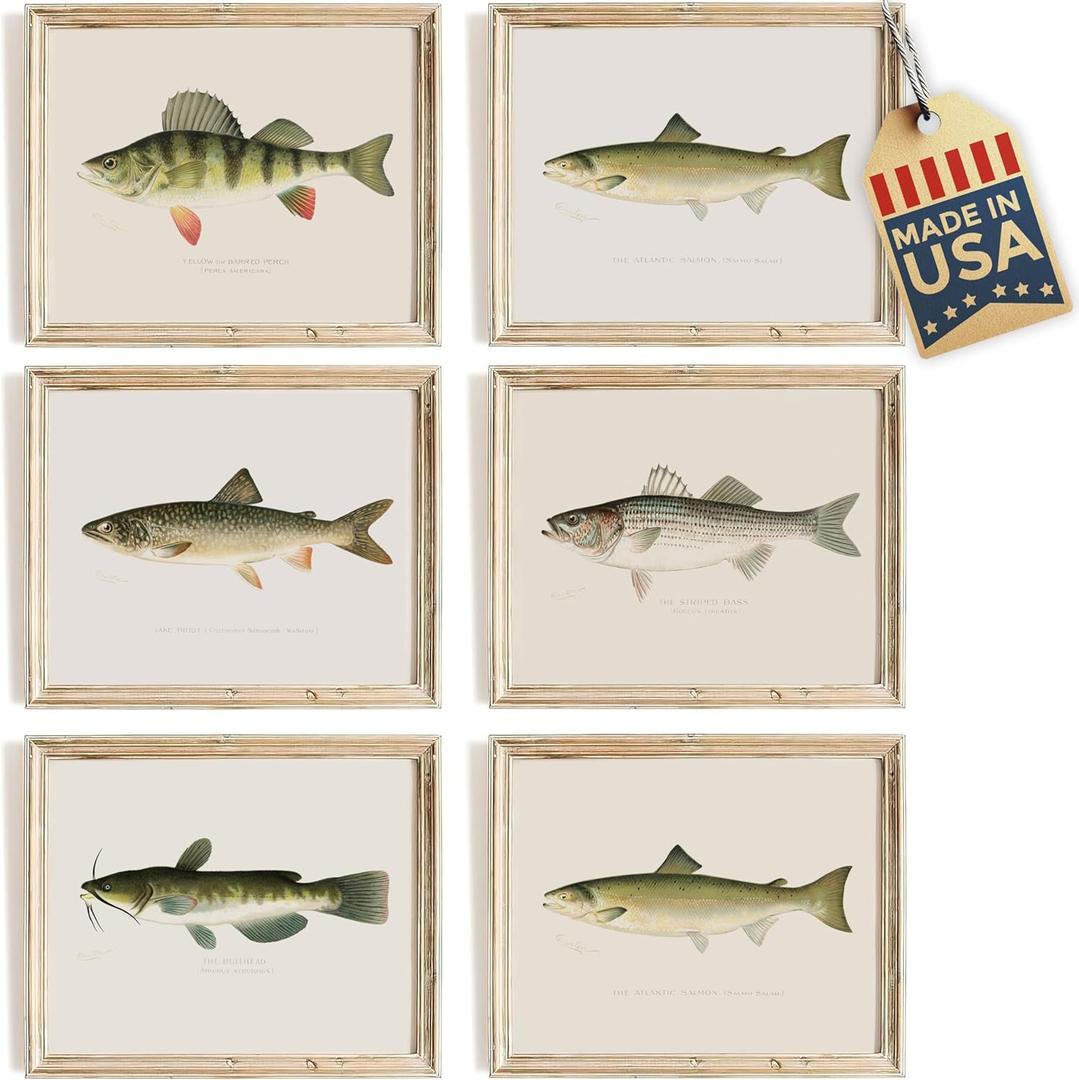 Fish Wall Art Prints (Set of 6) - Unframed - 8x10s | Vintage Fishing Decor - Reproductions of Vintage Fish Drawings - Midwest Fish Species - Great Gift for Fisherman
