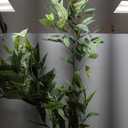 Ferrgoal 4Ft Artificial Eucalyptus Plant with White Planter
Fake Plants with Silk Leaves,Faux Tree Indoor for Home Decor Floor Porch Liveing Room