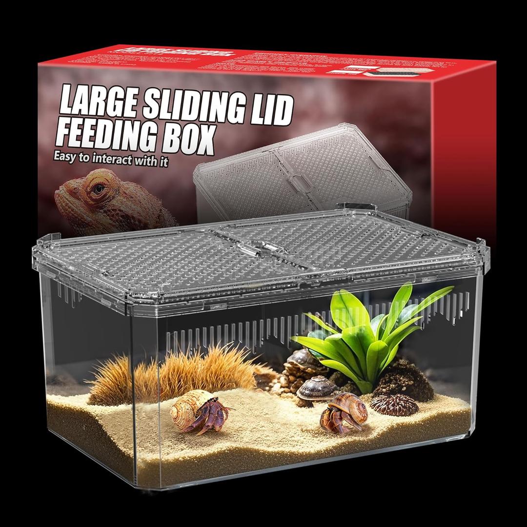 No Assembly Breathable and Secure Reptile Tank with high Transparency - Ideal Container House for Hermit Crab, Tarantula Enclosure, Turtle Tank or Jumping Spider Habitat (L)
