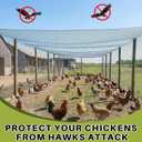 50 x 50 ft Aviary Bird Netting Chicken Netting Commercial Grade Heavy Duty Knotted 2 inch Mesh for Chicken Coops Poultry Blueberries Fruit Trees Net Aviary Gamefowl Garden