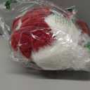 Jamntower 6 Pcs Santa Claus Costume Women Adult May Cosplay Christmas Dress with Belt Hat Necklace Gloves for Xmas Party(Red,XL)