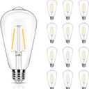 12 Pack 2W LED Edison Bulbs, 25 Watt Light Bulbs Equiv, 2700K Soft Warm with E26 Standard Base, LED ST19 Low Watt Light Bulbs, Not-dimmable, 120V
