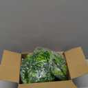 RECUTMS 6Pcs Artificial Monstera Leaf Vines, 5.9FT Faux Tropical Monstera Garland Fake Hanging Plant Ivy Palm Leave Greenery Vine for Garden Porch Patio Jungle Luau Party Birthday Indoor Outdoor Dcor