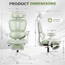 Ergonomic Office Chair with Footrest and Dynamic Lumbar Support, Green, High Back