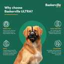 Baskerville ULTRA Muzzle - Patented Humane Design, Breathable, Dog can Pant and Drink, Adjustable, Padded, Training Muzzle for Medium-sized Dogs, Prevents Biting, Wildlife Scavenging (Size 3, Black)