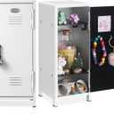 Vercraft 2 Pcs Mini Metal Locker Storage with Lock and 2 Keys 10.8 Inch Small Money Security and Cash Safe Box for Jewelry Back to School Home Office Desktop Container(White)