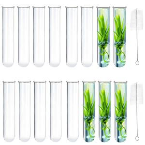 15Pcs Glass Tubes for Plants, Plant Propagation Tube Test Tubes for Scientific Experiments 20 ml Glass Test Tubes for Hydroponic Plants, Home Office Wall Decor (12cm)