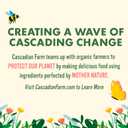 3 x Cascadian Farm Organic Honey Cashew Granola, Protein Granola, Non-GMO, Resealable Pouch, 9 oz (9 Ounce (Pack of 1))