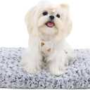 KSIIA Washable Dog Bed Deluxe Plush Dog Crate Beds Comfy Kennel Pad Anti-Slip Pet Sleeping Mat for Large, Jumbo, Medium, Small Dogs Breeds, 21" x 13", Gray (Grey)