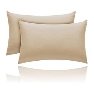 Pillowcases 2 Pack 20x30
