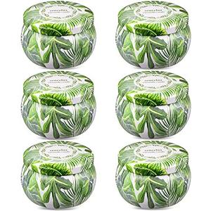 Citronella Candles Outdoor | Indoor Scented Candles 6 Pack 26OZ Pure Citronella Essential Oil and Natural Soy Wax Long Lasting Burning for Home Garden Summer Patio Balcony