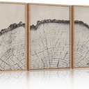 HPINUB Vintage Wood Tree Rings Wall Art Set, Framed Canvas Paintings, Black and White Nature-Inspired Decorative for Modern Home Decor for Living Room, Bedroom, Dining Room, Office- 16"x24"x3