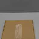 60 Pcs Plant Climbing Wall Fixture Clips Self-Adhesive Hook Vines Traction Clips Invisible Holder Garden Green Leaf Simulation Self-Adhesive Hook Wire Fixing Supporting