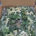 Door Wreath Green Eucalyptus for Front Door Wreaths Spring Summer Olive Wreath Artificial Leaves Mixed Berry Wreaths for All Season Home Farmhouse Porch Year Round Outdoor Wall Decorating,18-20 Inch