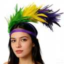 2 x SHANPIN Feather Boa Fascinator Headband Party Wedding Sallon Headwear Flapper Headpiece Feathers Fascinator Headband Fascinators Hats for Women Tea Party Headpiece