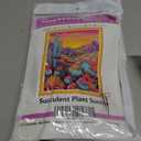 Magxvouy Cross Stitch Kits Stamped Full Range of Embroidery Kits,Cross Stitch Patterns Needlework Kits for Beginners 11CT Printed Kits&Succulent Plant Sunrise 16x20 inch (Graphics10)