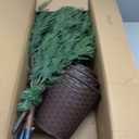 Set of 3 2ft 3ft 4ft Pre-lit Twinkle Christmas Cypress Tree with 180 LED Light Realistic Artificial Trees with Woven Basket Base Xmas Holiday Decor for Indoor Living Room Home (Cypress Tree)